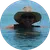 Ann Koenig